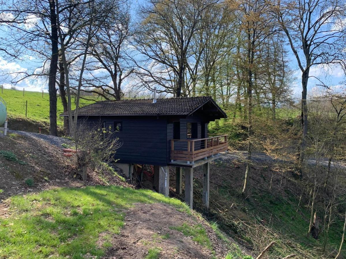 Gites Douillets : Chalet Sur Pilotis Houyet Екстер'єр фото