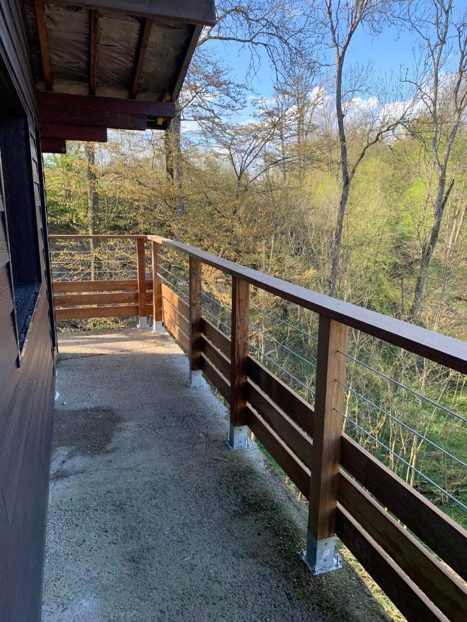 Gites Douillets : Chalet Sur Pilotis Houyet Екстер'єр фото